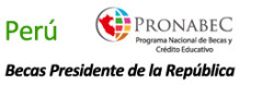 Logo integrado Peru 2